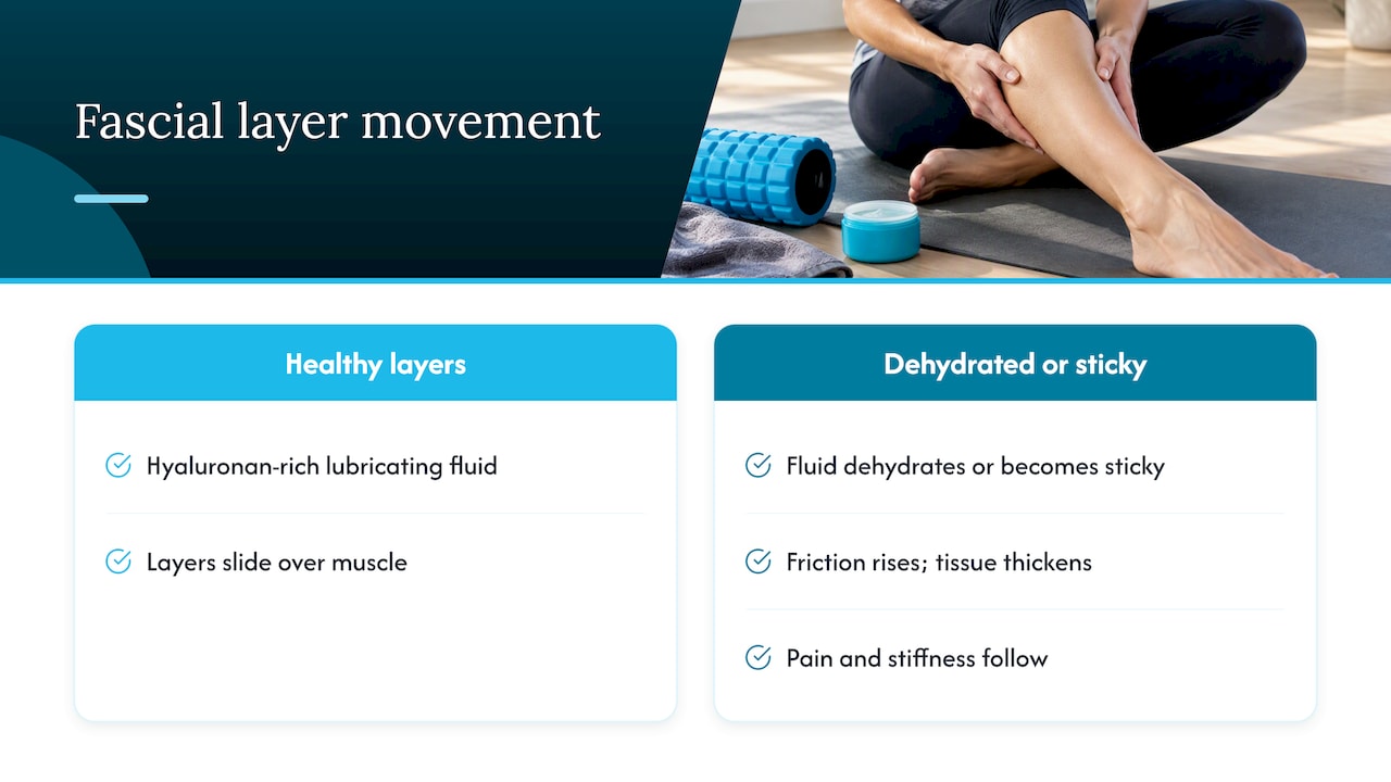 Healthy sliding fascia compared with sticky layers