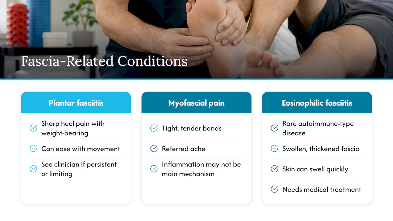 Fascia inflammation symptoms: what they can and can't mean — overview diagram